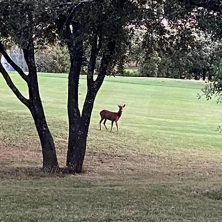 Detente Au Feriehus *